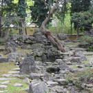 IMG_0984.JPG