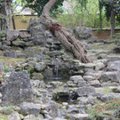 IMG_0985.JPG