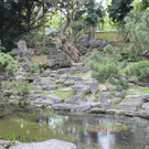 IMG_0988.JPG