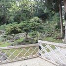 IMG_0989.JPG