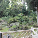 IMG_0990.JPG