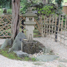 IMG_0993.JPG
