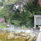 IMG_0959.JPG