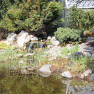 IMG_0961.JPG