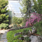 IMG_0964.JPG