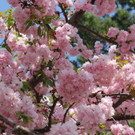 IMG_0967.JPG