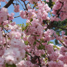 IMG_0969.JPG