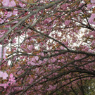 IMG_1005.JPG