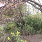 IMG_1006.JPG