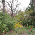 IMG_1009.JPG