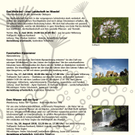 Veranstaltungsplan-natuRankweil_3_jpg-1271052556