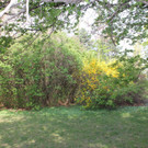 IMG_0935.JPG