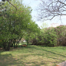 IMG_0937.JPG