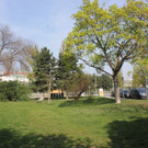 IMG_0939.JPG