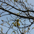 IMG_0940.JPG
