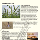Veranstaltungsplan-natuRankweil_4_jpg-1271052558