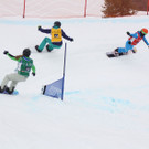 IMG_2729_bib red_moll.jpg