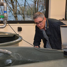 becken.jpg