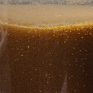 laichglas.jpg