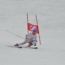 DSC_6964.jpg