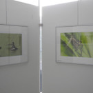 DSCN1540.JPG