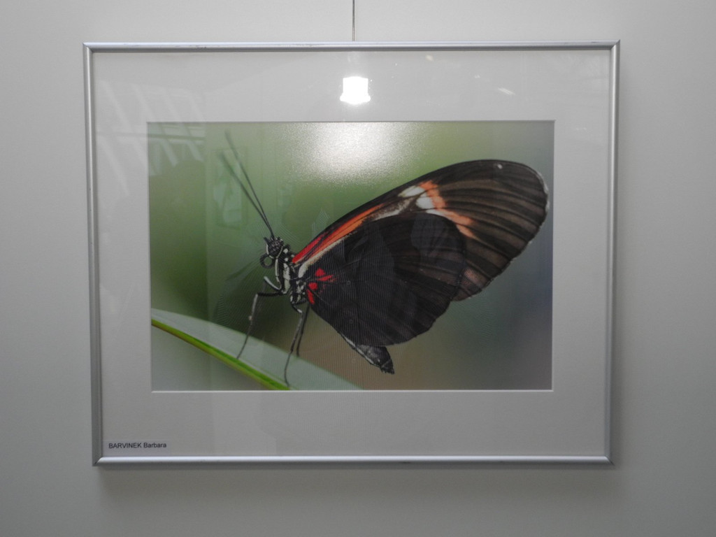 DSCN1556.JPG