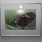 DSCN1556.JPG