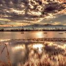 GoldenerBodensee.jpg