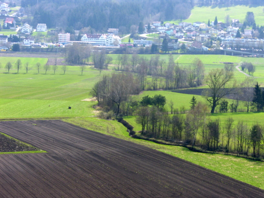 sm_gemeinde_bescheid03_JPG-1271055677