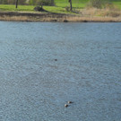 DSCN1269.JPG