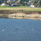 DSCN1271.JPG