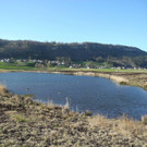 DSCN1272.JPG
