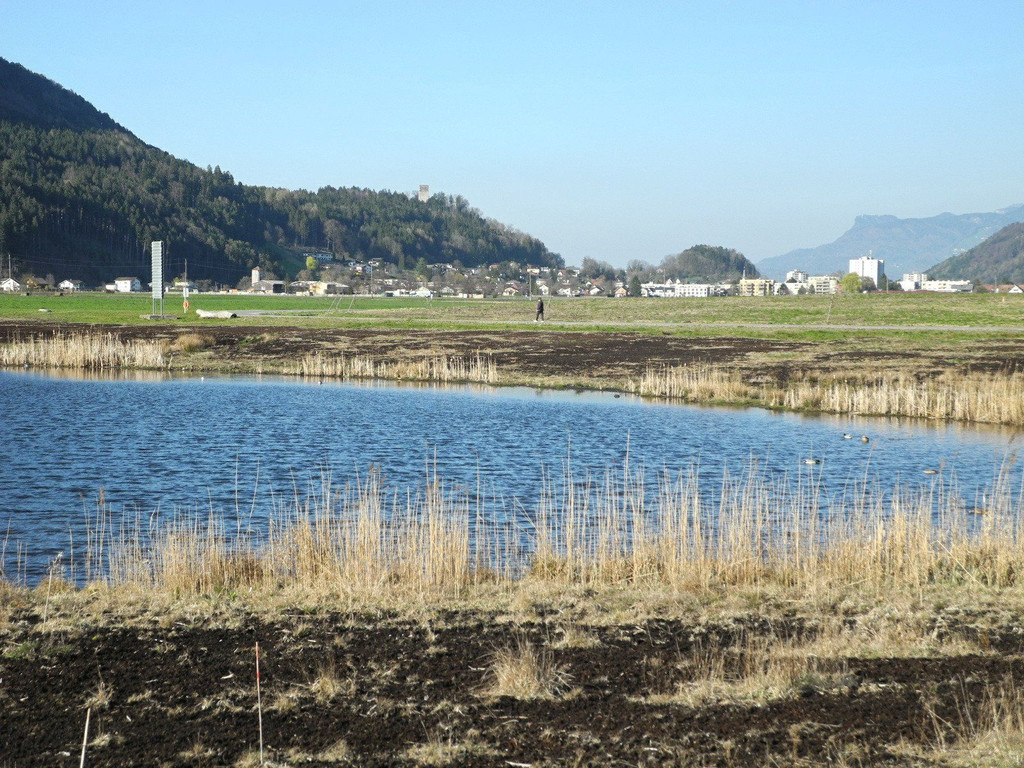 DSCN1275.JPG