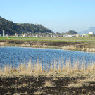 DSCN1275.JPG