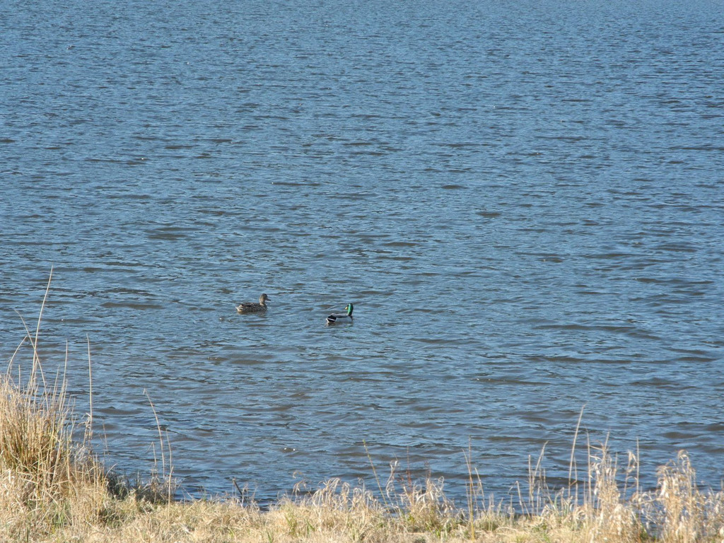 DSCN1277.JPG