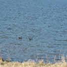 DSCN1277.JPG