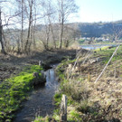DSCN1264.JPG