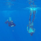 IBD0105-20140408.jpg