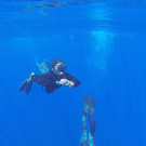IBD0108-20140408.jpg