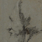IBD0691-20131128.jpg