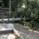 p4090414-Foto4.jpg