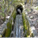 ABD0050-20140407.jpg