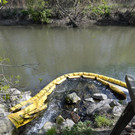 ABD0053-20140407.jpg