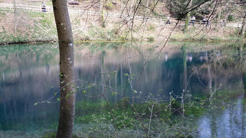 20140402_150759.jpg