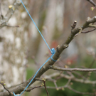 DSC05961.JPG