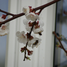 DSC05979.JPG