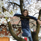 Kirschenbl__te Fraxern 2014 _38_.jpg