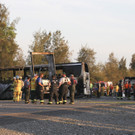 IBD0260-20140411.jpg