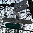 DSC_0194.JPG