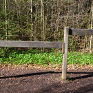 DSC_0207.JPG